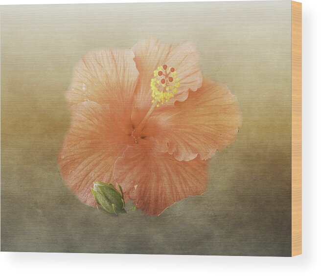 Hibiscus Wood Print featuring the photograph Warm Hibiscus by Judy Hall-Folde