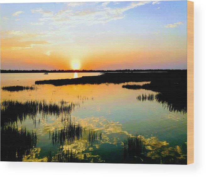 Marsh Wood Print featuring the photograph Warm Wet Wild by Sherry Kuhlkin