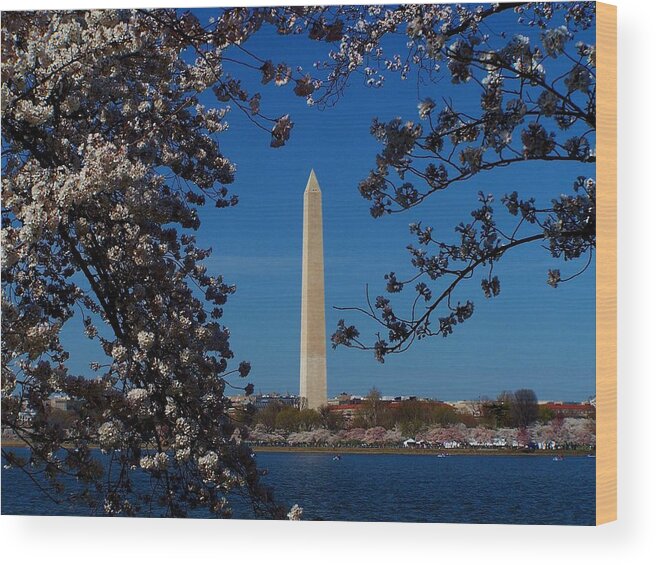 Monument Wood Print featuring the photograph Washington Monument by Eileen Brymer