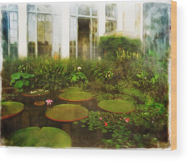 Water Lilies Wood Print featuring the photograph Water Lily Pond by John Rivera