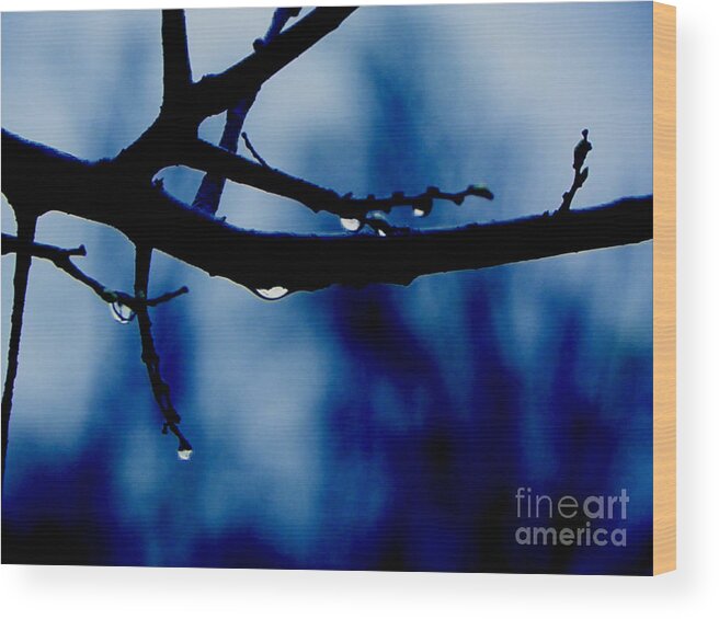 Branch Water Tree Drop Drops Photo Art Artist Artistic Landscape A An The Wet Dark Blue Branches Craig Walters On Of Photograph Wood Print featuring the digital art Water on Branch by Craig Walters