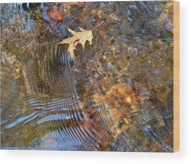 Waterscape Wood Print featuring the photograph Water World 220 by George Ramos