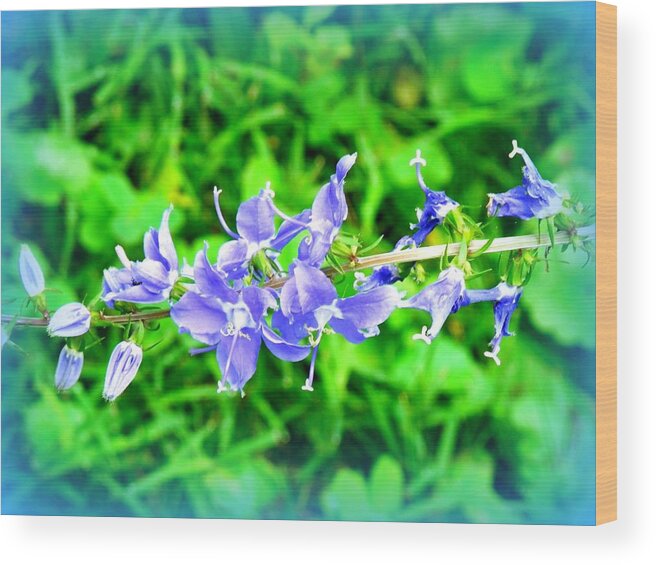 Blue Wood Print featuring the photograph Watercolor Blooms by Deborah Kunesh