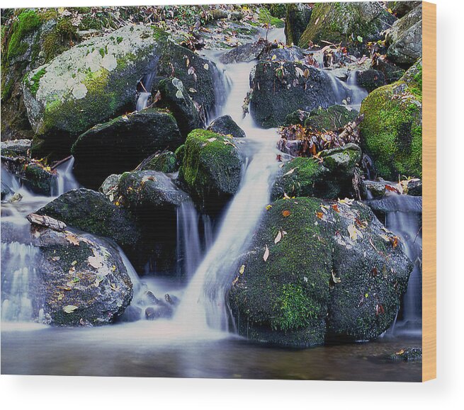 Waterfall Wood Print featuring the photograph Waterfall by Gene Sizemore