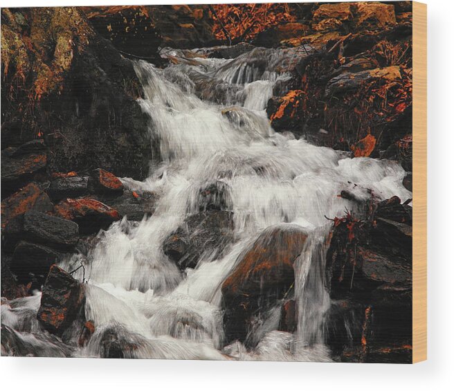 Waterfall In Caledonia State Park Wood Print featuring the photograph Waterfall in Caledonia State Park by Raymond Salani III