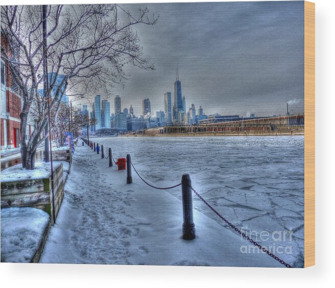 Chicago Illinois Wood Print featuring the photograph West from Navy Pier by David Bearden