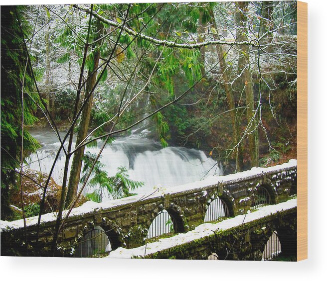 Whatcom Falls Wood Print featuring the photograph Whatcom Falls 3 by Craig Perry-Ollila