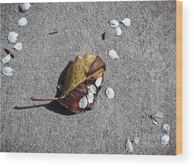 Nature Wood Print featuring the photograph When Petals Met Leaf by Fei A