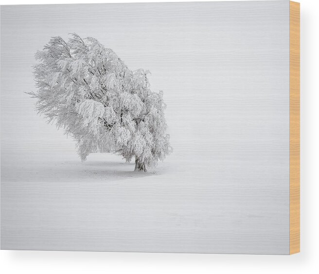 Snow Wood Print featuring the photograph White by Andreas Wonisch