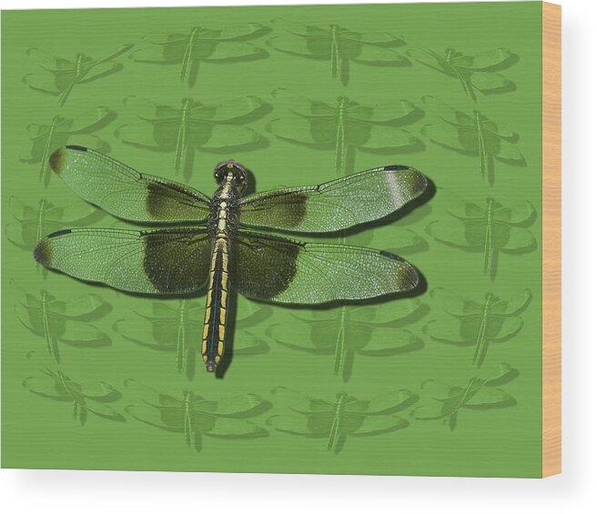 Dragonfly Wood Print featuring the digital art Widow Skimmer by Jeff Phillippi