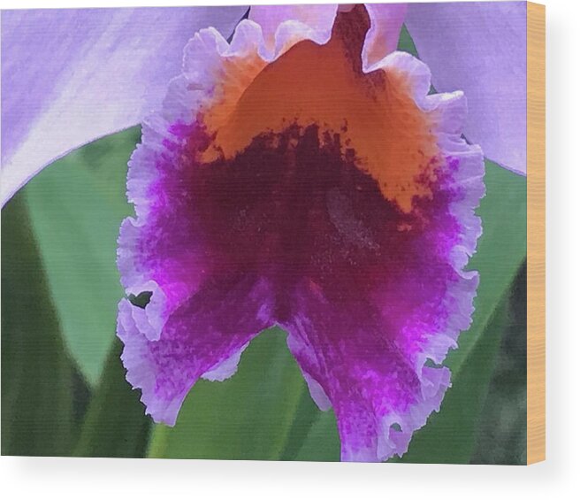 Flowers Wood Print featuring the photograph Wild Color by Jean Wolfrum