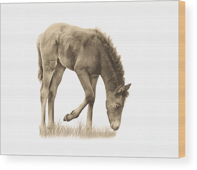 Wild Horse Grazing Wood Print featuring the photograph Wild Horse Grazing by Priscilla Burgers