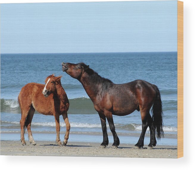 Wild Wood Print featuring the photograph Wild Horses on Beach by Ted Keller