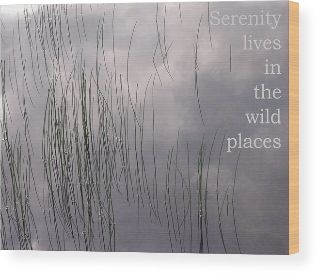 Nature Wood Print featuring the photograph Wild Serenity by Tom Trimbath