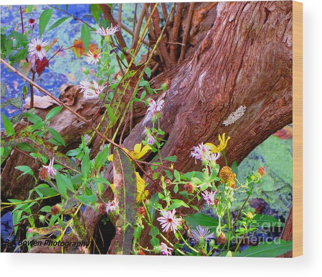 Wildflowers Wood Print featuring the photograph Wildflowers on a Cypress Knee by Barbara Bowen