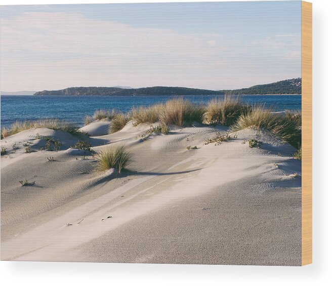 #freedom #implulse #sardinia #sand #summer #sea #travel #island #islet #italy #italia #sardegna #isle #holiday #liberty #nature #landscape #desolation #desert Wood Print featuring the photograph Sulcis Sardinia by Martina Uras