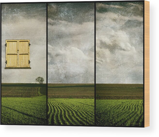 Triptych Wood Print featuring the digital art Window to Farmland Triptych by Wim Lanclus