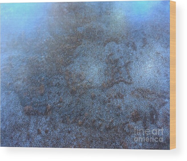 Impressionist Wood Print featuring the painting Winter Mist by Fred Wilson