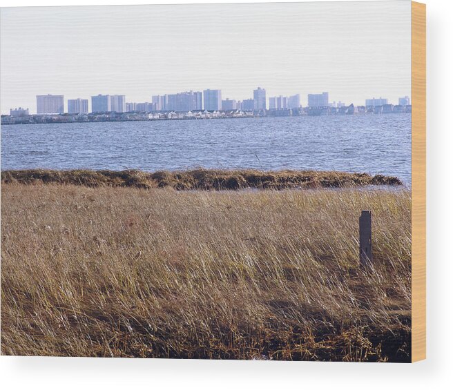 Assawoman Bay Wood Print featuring the photograph Winter Ocean City MD by Kevin Callahan