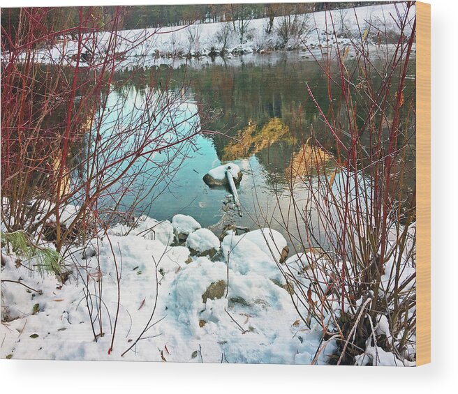 California Wood Print featuring the photograph Winter Reflections 2016 by Walter Fahmy