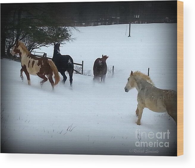 Horses Wood Print featuring the photograph Winter Snow by Rabiah Seminole