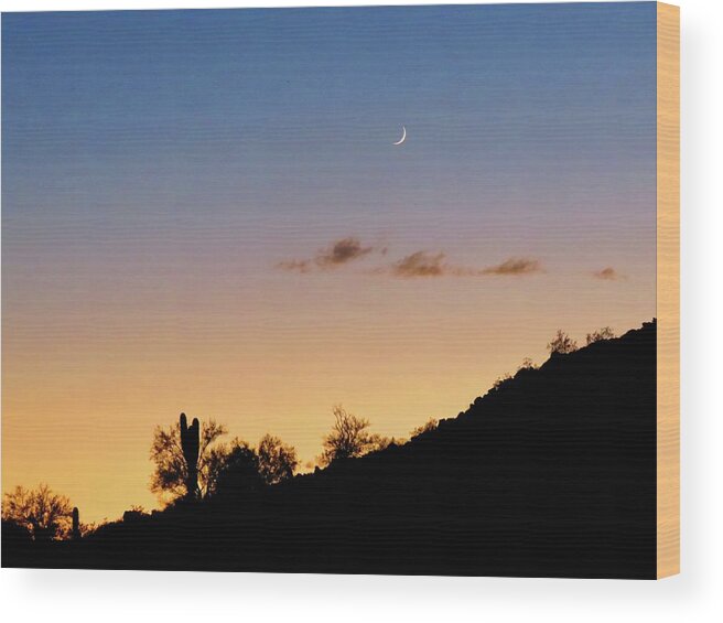 Desert Landscape Wood Print featuring the photograph Y Cactus Sunset Moonrise by Judy Kennedy