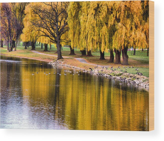 Autumn Wood Print featuring the photograph Yellow Autumn by Scott Hovind