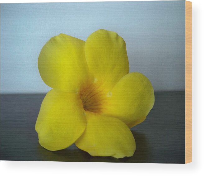 Flower Wood Print featuring the photograph Yellow flower from Salinas by Nancy Graham