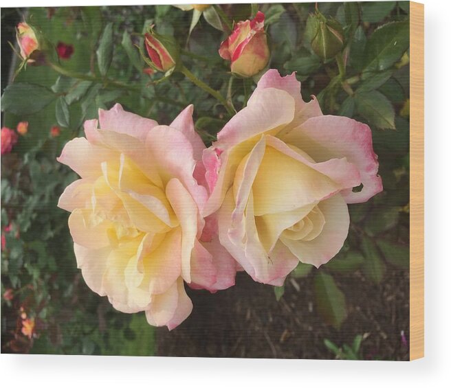 Flowers Yellow Wood Print featuring the photograph Yellow Rose by Joel Baugh