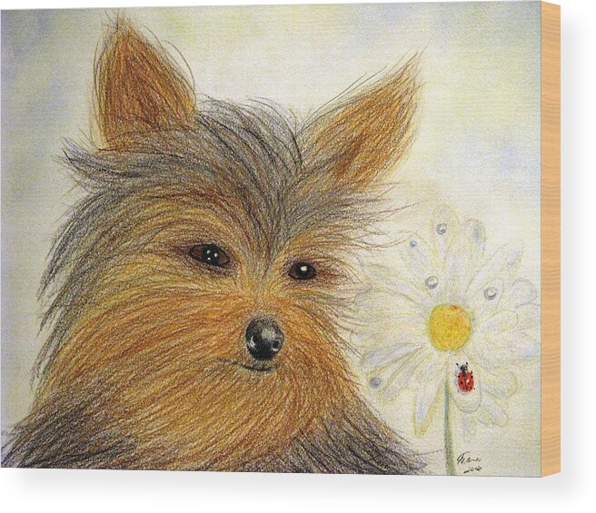 Yorkshire Terriers Wood Print featuring the drawing Yorkie Summer Fun by Angela Davies