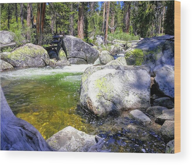 Gold Wood Print featuring the photograph Yosemite Alive by J R Yates