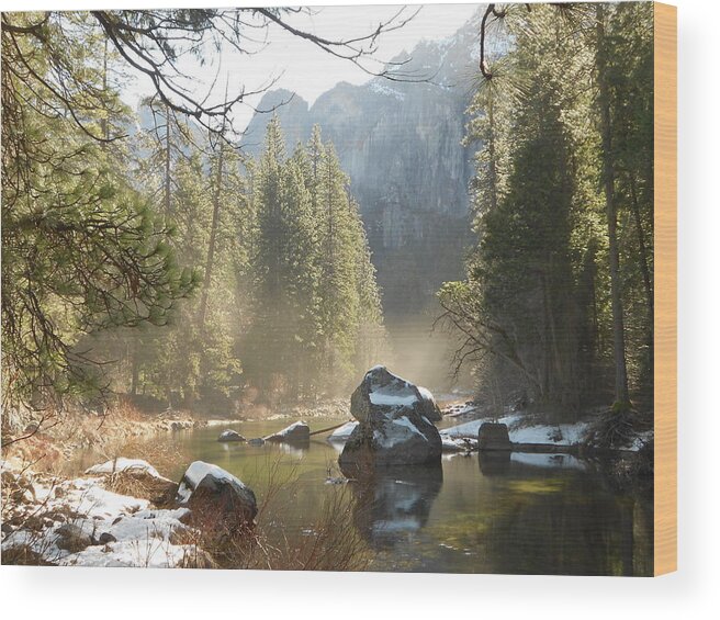 Yosemite Spring Wood Print featuring the photograph Yosemite Spring by FD Graham
