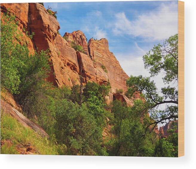 Blue Wood Print featuring the photograph Zion National Park 1 by Penny Lisowski