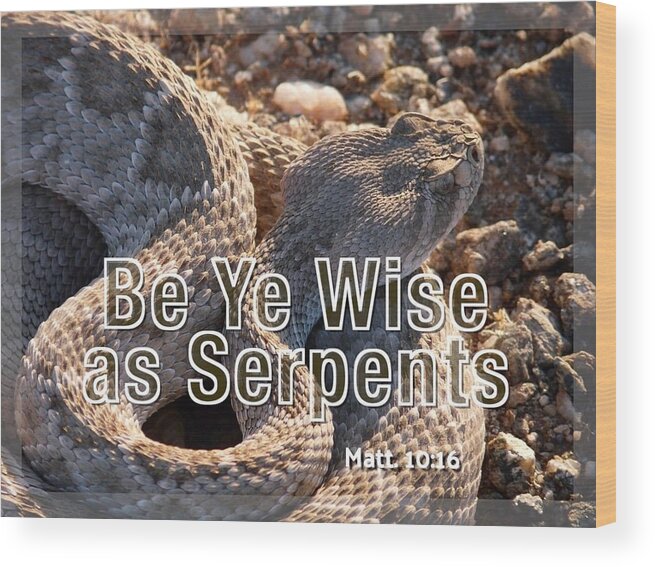 Adage Wood Print featuring the photograph Be Ye Wise as Serpents by Judy Kennedy