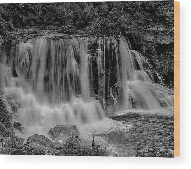 Waterfalls Wood Print featuring the photograph Blackwater Falls Mono 1309 by Donald Brown