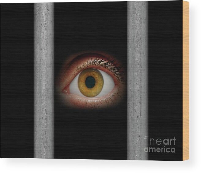 One Person Wood Print featuring the photograph Human Eye Staring Through Bars #1 by Victor De Schwanberg/science Photo Library