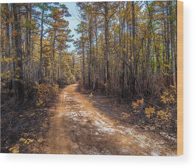 Barrens Wood Print featuring the photograph Pine Barrens Burn #1 by Louis Dallara