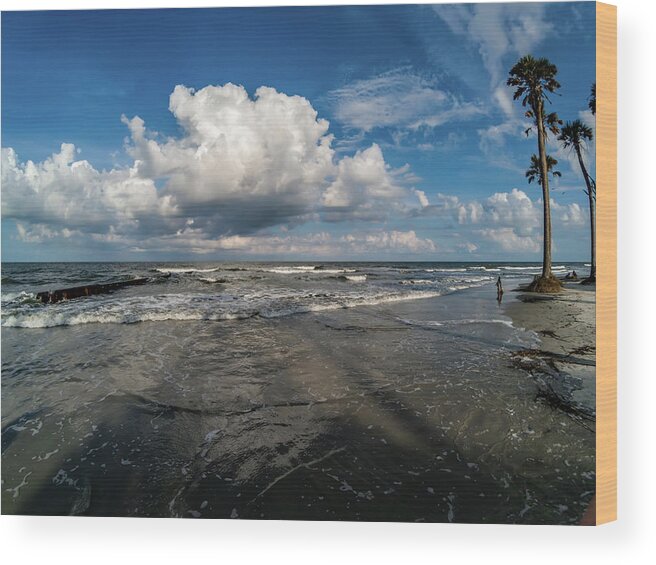 Beach Wood Print featuring the photograph Beach scenes at hunting island south carolina #13 by Alex Grichenko