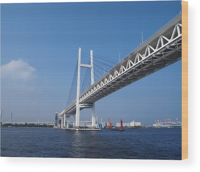 Built Structure Wood Print featuring the photograph Japan #2 by Cap5656