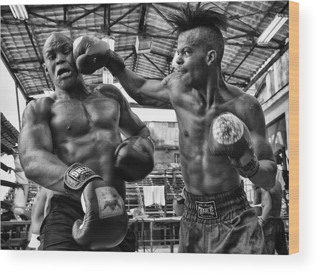 Boxer Wood Print featuring the photograph S/t #42 by Carlos Lopes Franco