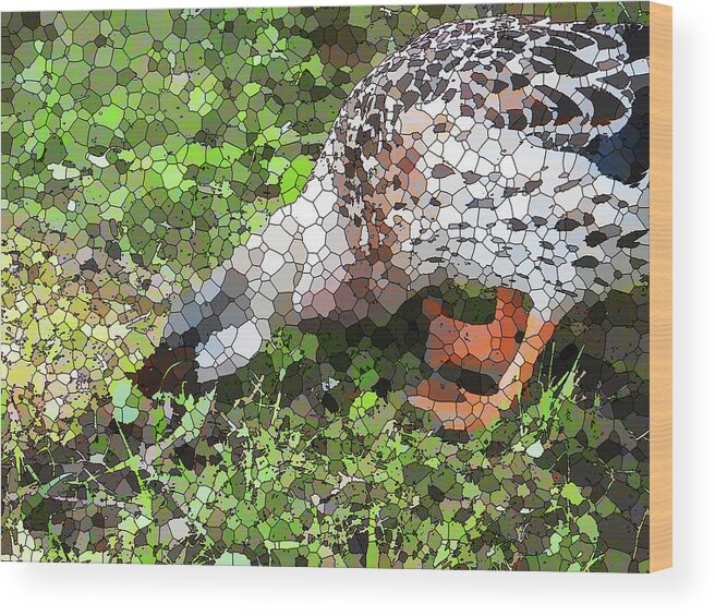 Beak Wood Print featuring the painting A female mallard duck is see searching for food 4 by Jeelan Clark