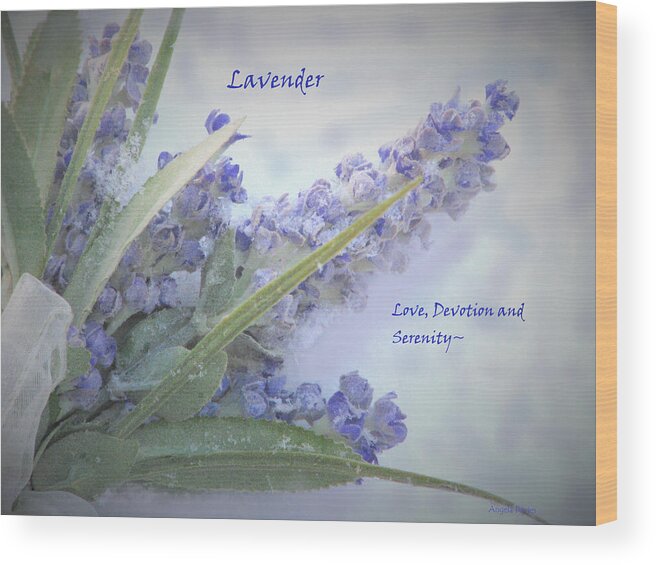 Lavender Wood Print featuring the photograph A Gift Of Lavender by Angela Davies