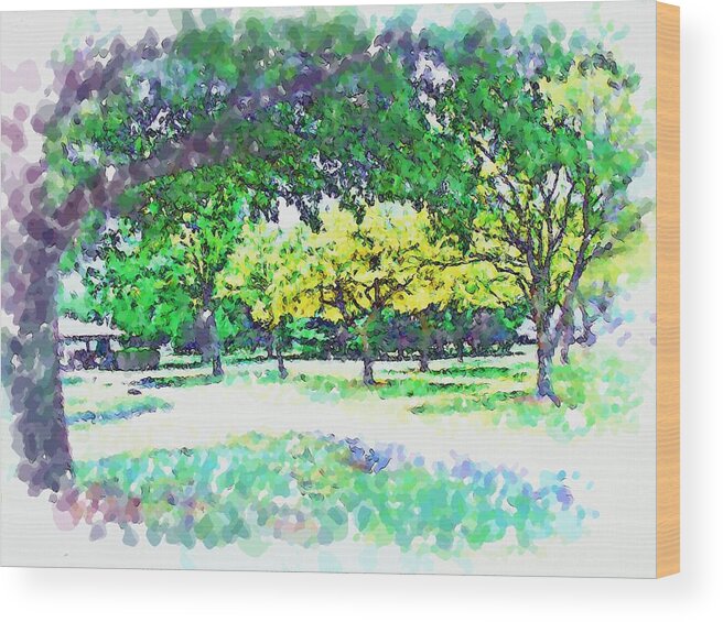 Park Wood Print featuring the mixed media Afternoon in the Park by Christopher Reed