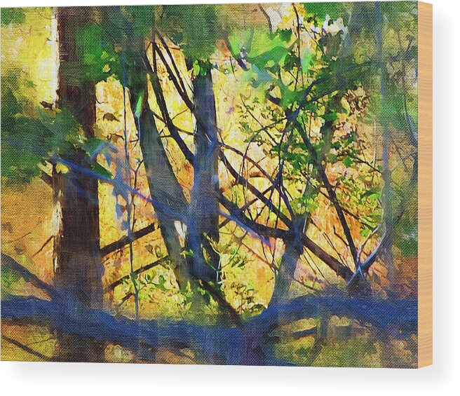 Trees Wood Print featuring the mixed media Afternoon in the Woods by Christopher Reed