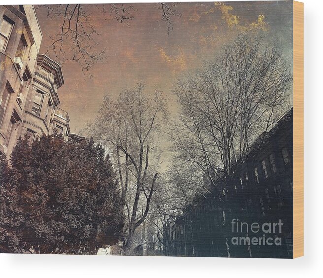 Brooklyn Wood Print featuring the photograph Among the Brownstones - Gift for New Yorkers by Onedayoneimage Photography