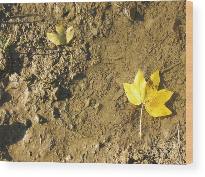 Autumn Wood Print featuring the photograph Autumn by Alexa Szlavics