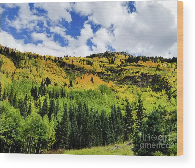 Colorado Wood Print featuring the photograph Autumn in Colorado by Elizabeth M