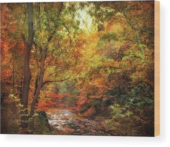 Autumn Wood Print featuring the photograph Autumn Stream by Jessica Jenney
