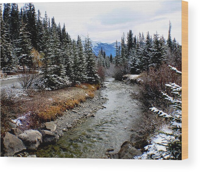 Tranquility Wood Print featuring the photograph Banff National Park by Bhs