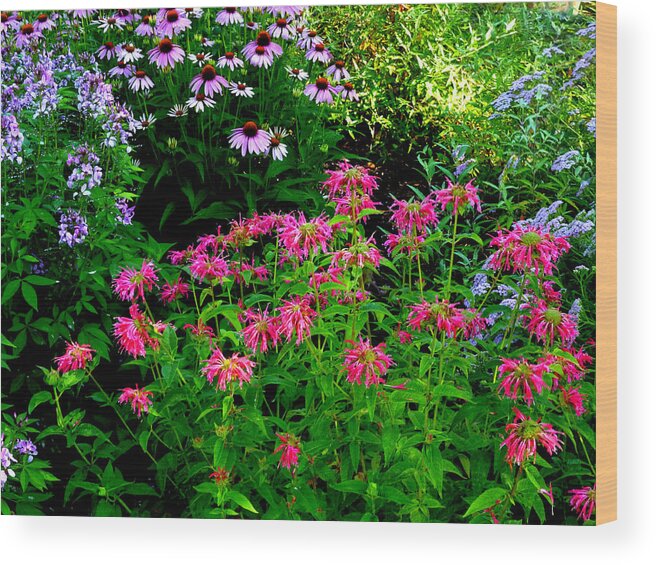 Bee Balm Wood Print featuring the photograph Bee Balm, Dark Edition by Mike McBrayer